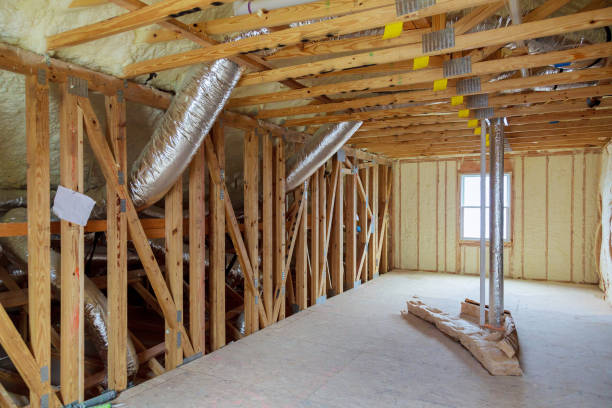 Best Professional Insulation Contractor  in Walnut Hill, TN