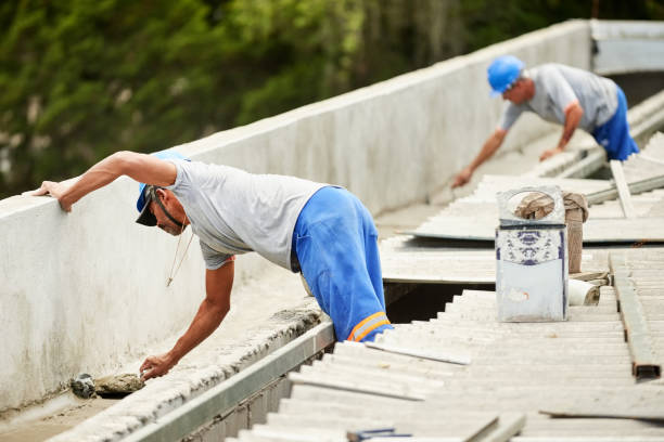 Best Affordable Insulation Services  in Walnut Hill, TN