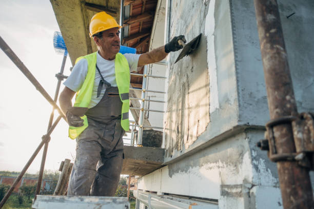 Best Insulation Removal  in Walnut Hill, TN