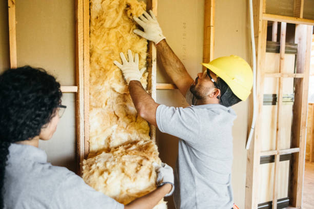 Best Insulation Inspection Services  in Walnut Hill, TN