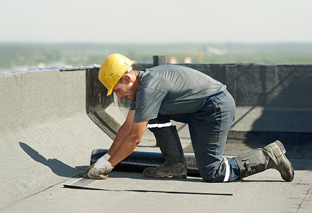Best Attic Insulation Installation  in Walnut Hill, TN