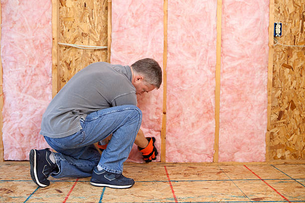 Best Insulation Replacement Services  in Walnut Hill, TN