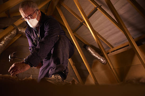 Best Garage Insulation Installation  in Walnut Hill, TN