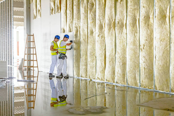 Best Garage Insulation Installation  in Walnut Hill, TN